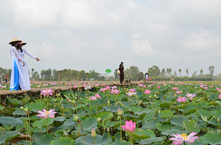 Dịch vụ điều tra ngoại tình ở Đồng Tháp