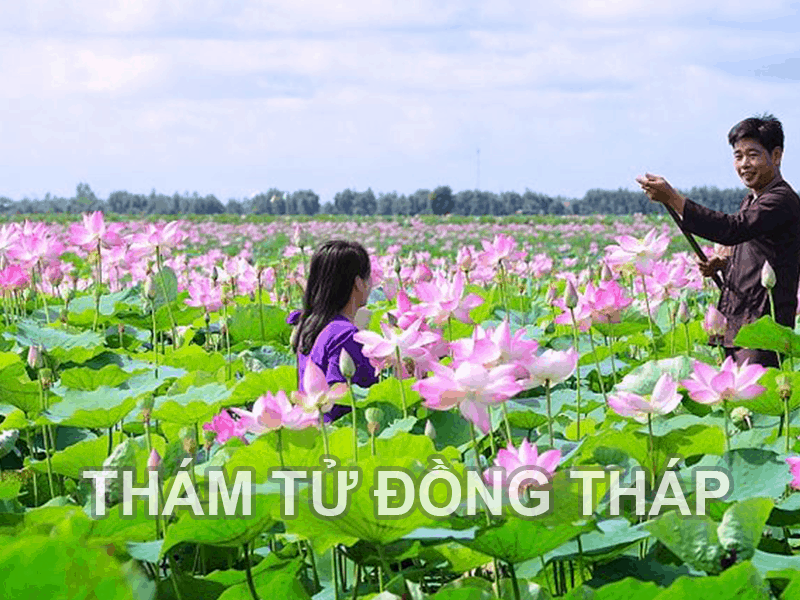 Dịch vụ thám tử ở Đồng Tháp