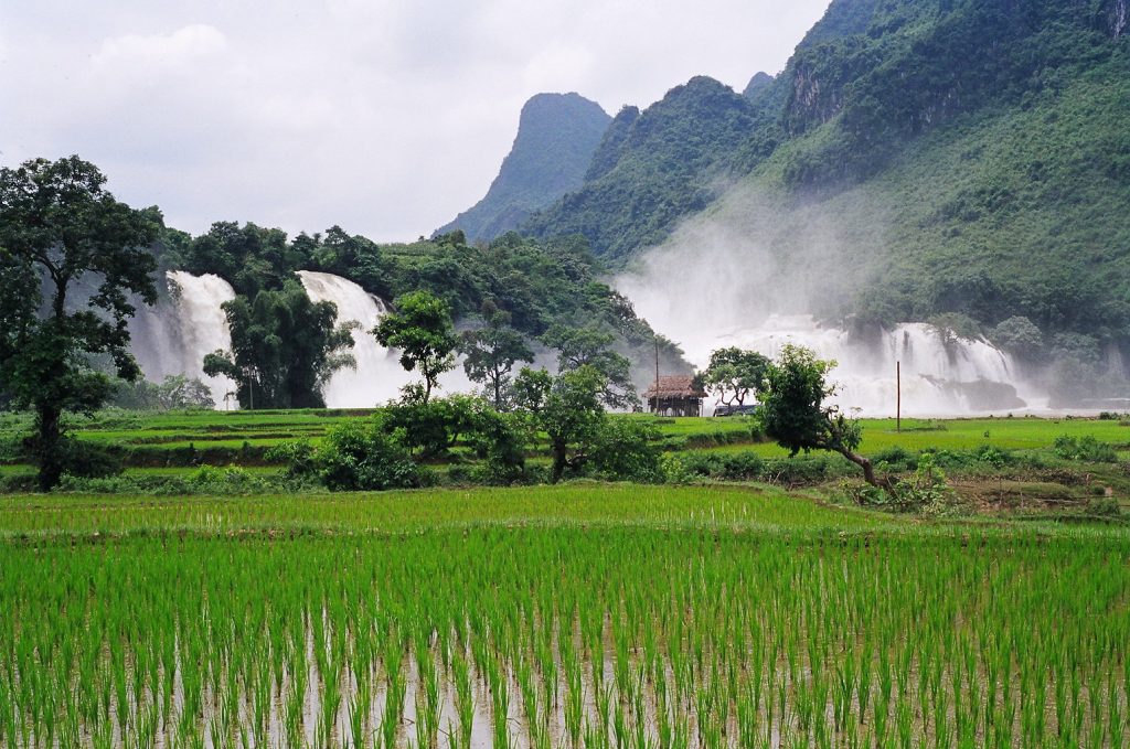 Thám tử chuyên nghiệp ở Cao Bằng