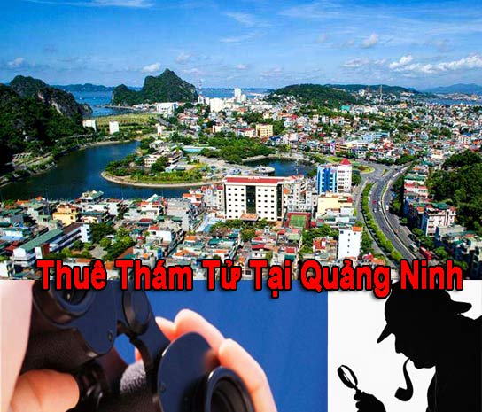 ToP 3 công ty thám tử uy tín tại Quảng Ninh