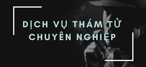 hiệp hội thám tử việt nam